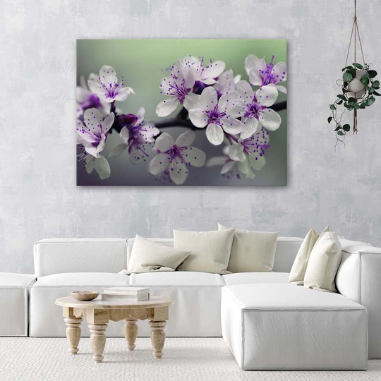 Canvas Print Apple Blossom Nature Plant