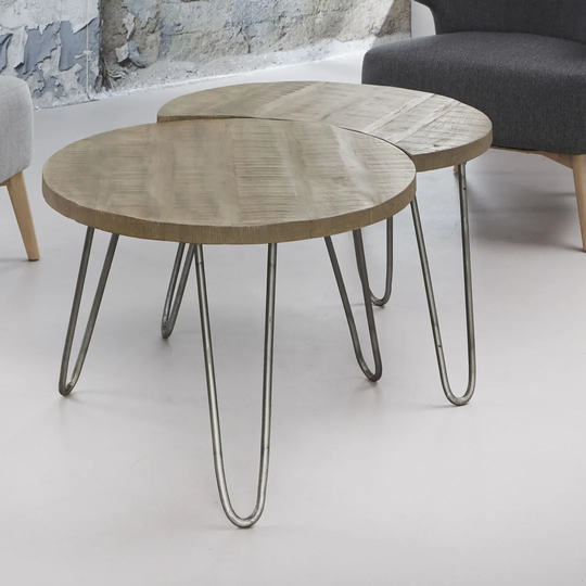 Vanesa 2 Piece Coffee Table Set