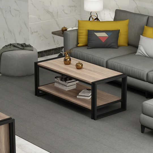 Demorest Coffee Table with Storage