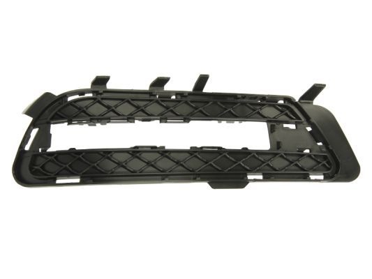 Ventilation Grille, bumper 6502073529916P