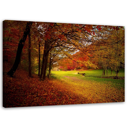Canvas Print Forest Leaves Autumn