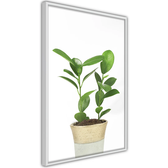 Poster - Piece Of Nature II