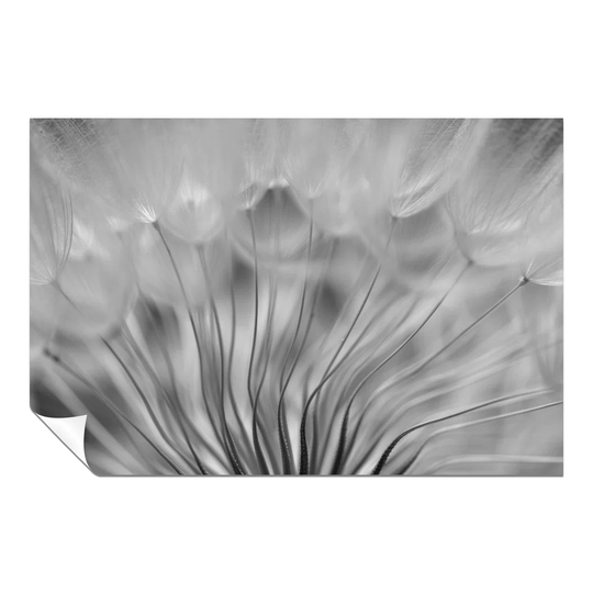 Panther Print Fine Art Prints Abstract Black & White Dandelion Soft Floral Artistic Unframed Poster, Pictures For Home Walls, Bedroom, Living Room & B