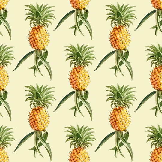 Jhan 4.16m x 2.54m Matte Wallpaper Roll