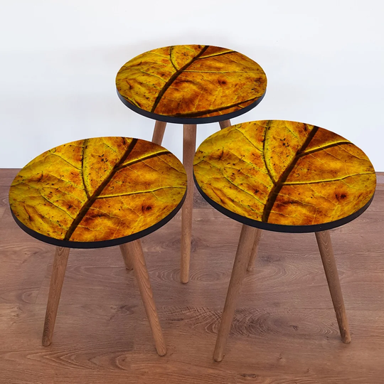 Corliss 3 Piece Nest of Tables