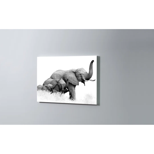 Elephants Magnetic Wall Mounted Cork Board