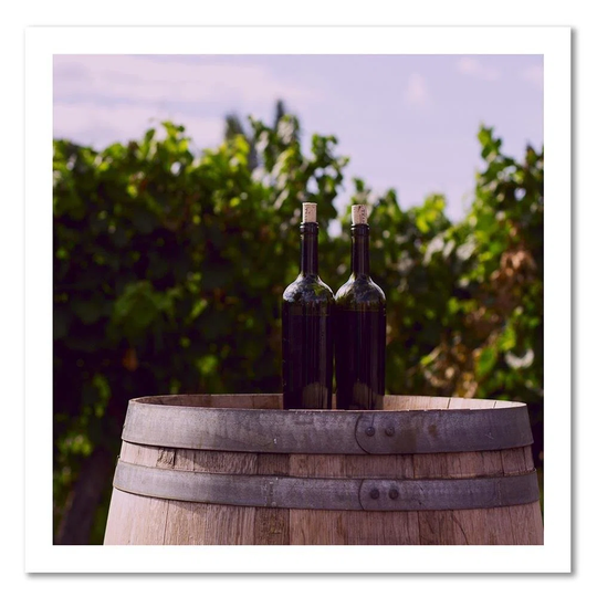 Canvas Print Grape Leaves