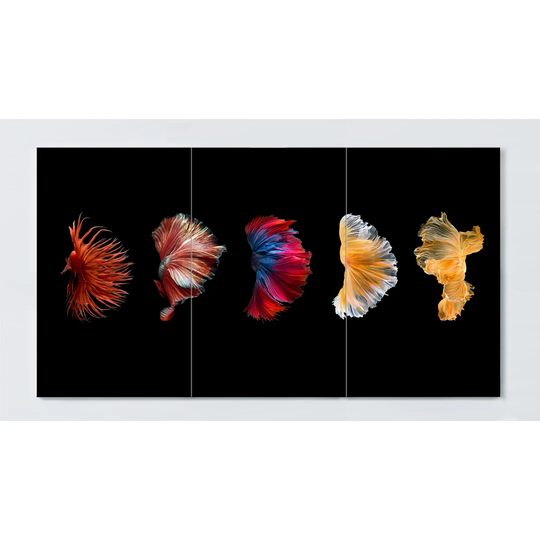 Fishes Magnetic Wall Mounted Cork Board
