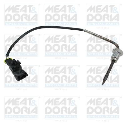 Sensor, exhaust gas temperature 12102E