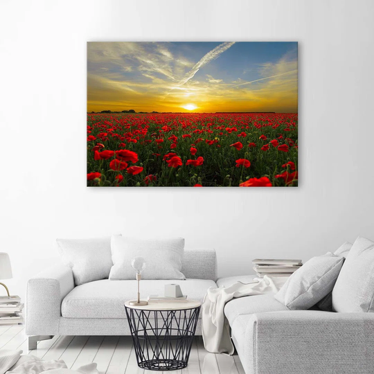 Canvas Print Red Poppies At Sunset