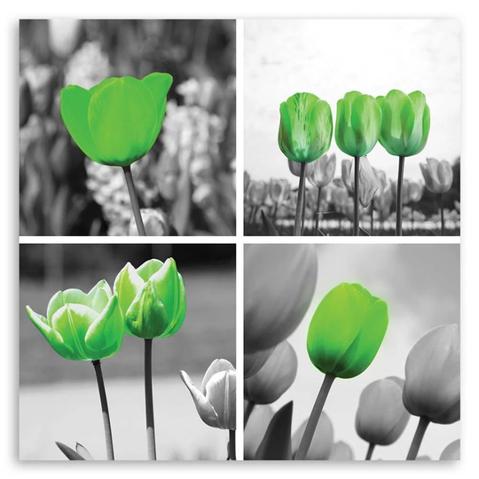 Canvas Print Set Green Tulips