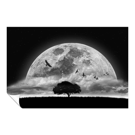Panther Print Fine Art Prints Birds Flying Over Dark Night Moon Artistic Unframed Poster, Pictures For Home Walls, Bedroom, Living Room & Bathroom Dec