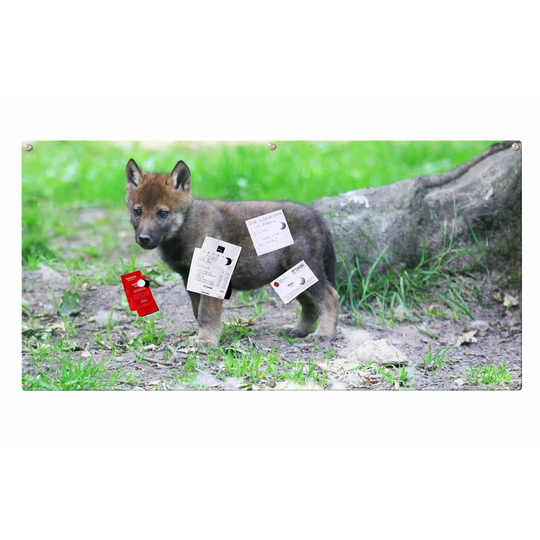 Wolf Magnetic Wall Mounted Photo Memo Board