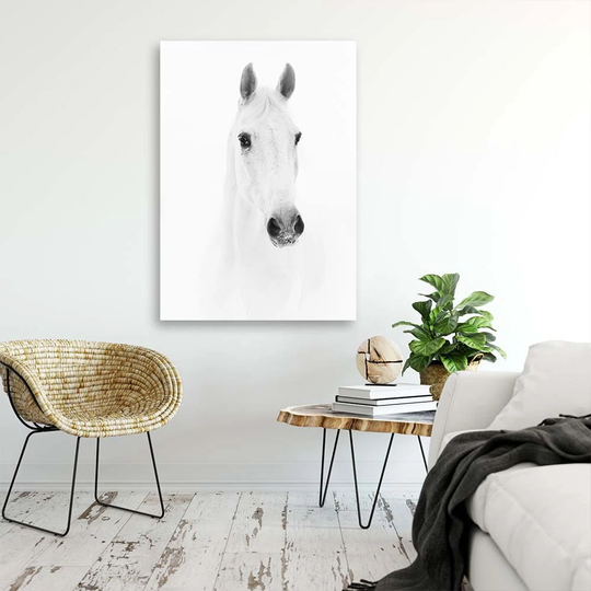 Canvas Print Horse Animals Nature White