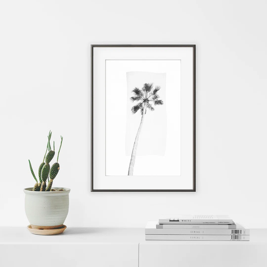 Minimal Palm Tree - Picture Frame Photograph Print on Paper