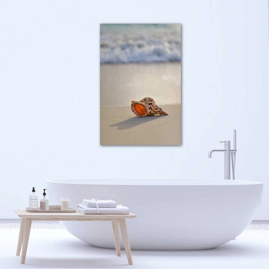 Poster, Shell On The Beach
