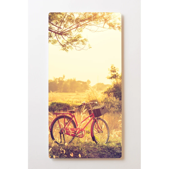 Backlight Motive Wall Picture Bicycle Magnetic Cork Board