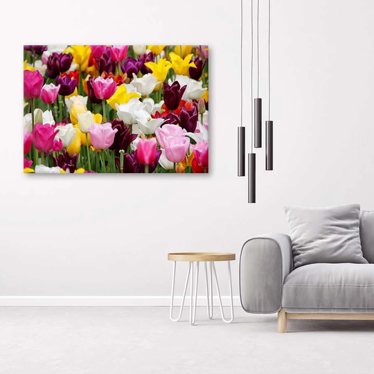 Canvas Print Colourful Tulips Meadow Flowers