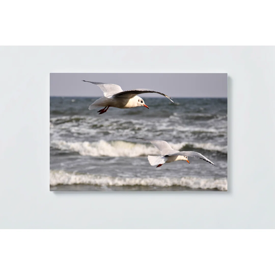 Seagull Motif Magnetic Wall Mounted Cork Board
