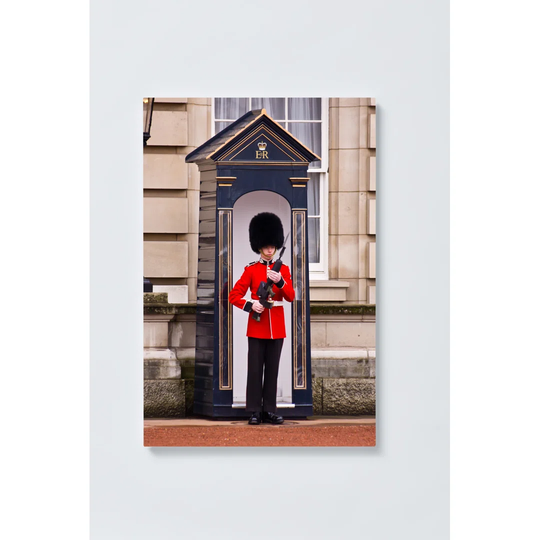 Guard Magnetic Wall Mounted Cork Board