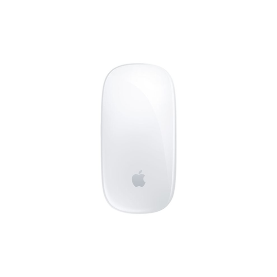 Apple Magic Mouse mouse Bluetooth MK2E3Z/A
