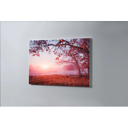 Tree Meadow Magnetic Wall Mounted Cork Board