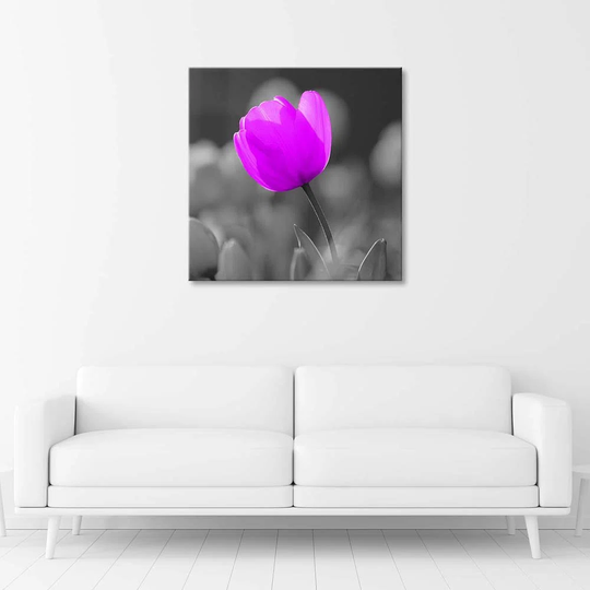 Canvas Print Tulip Blossom Purple