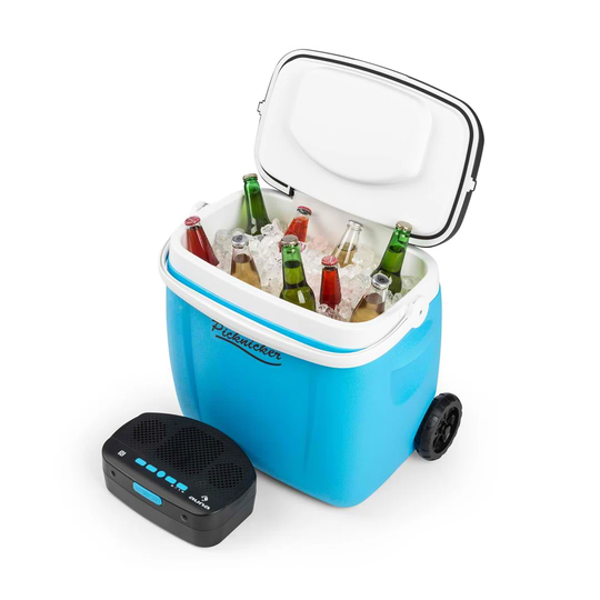 Auna Picknicker Music Trolley Cooler