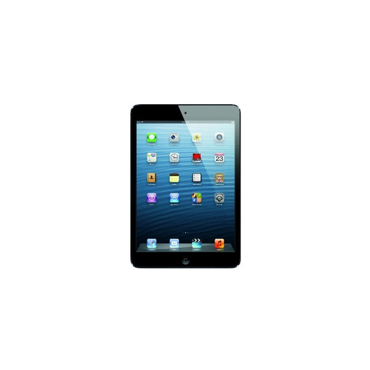 Apple iPad Mini 1 - 16GB Wi-Fi (Certified Refurbished) (Slate Black)