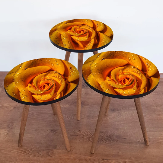 Bergin 3 Piece Nest of Tables