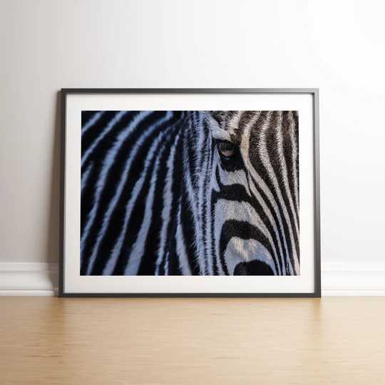 A Zebra's Eye by Vouvart - Picture Frame Photograph