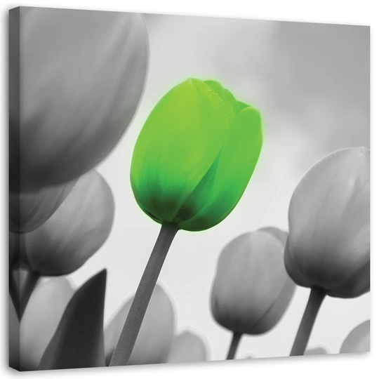 Canvas Print Tulips Green Grey