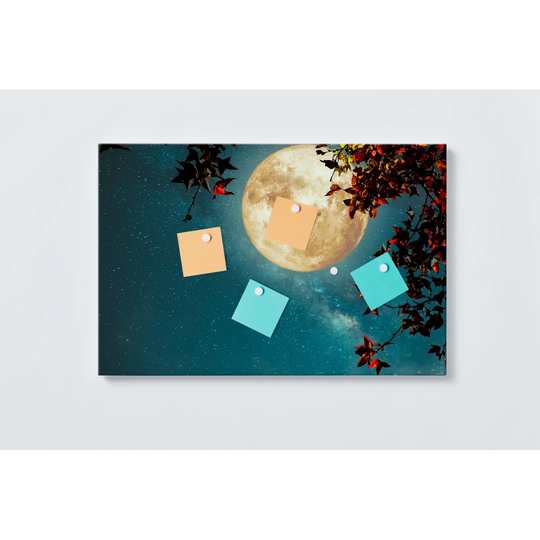 Moon Magnetic Wall Mounted Cork Board