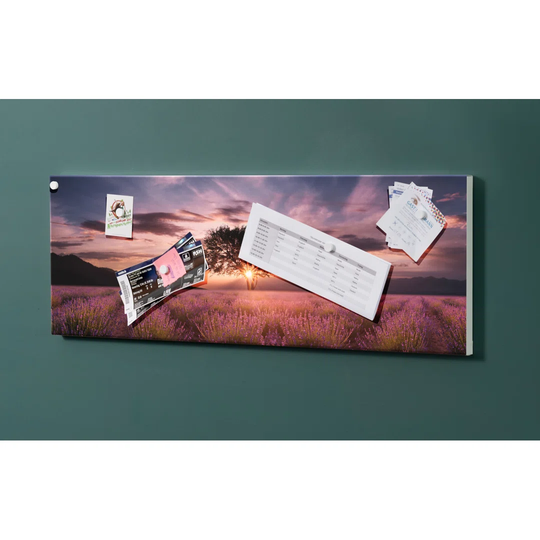 Notiz Motive Field Sunrise Magnetic Wall Mounted Cork Board