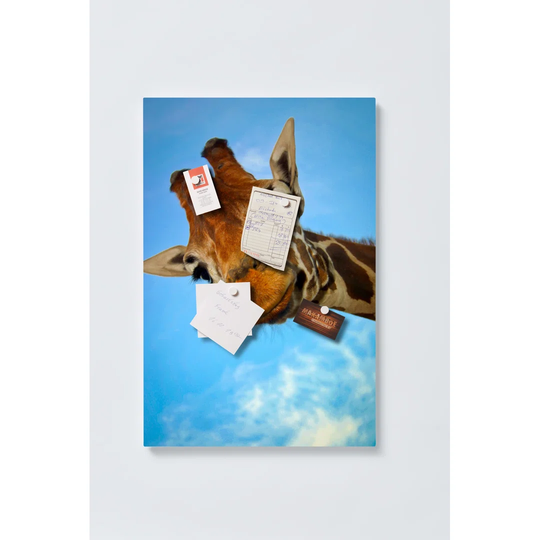 Giraffe Magnetic Wall Mounted Cork Board