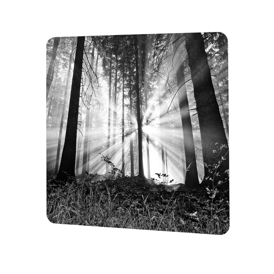 Forest Magnetic Wall Mounted Magnetic Board