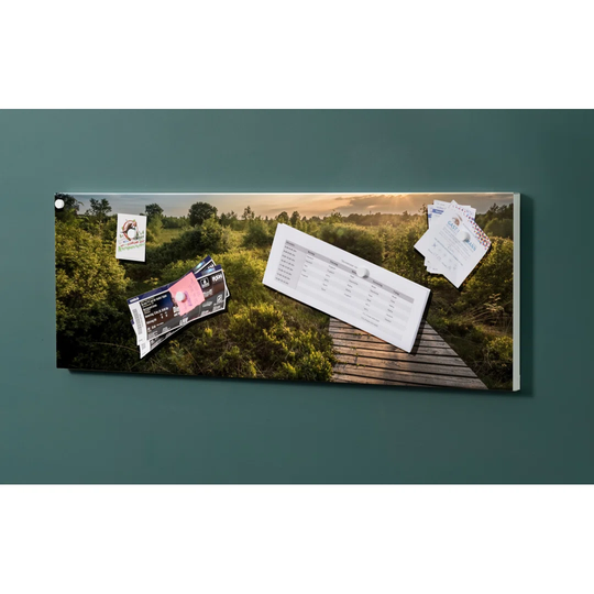 Notiz Motive Way Forest Magnetic Wall Mounted Cork Board