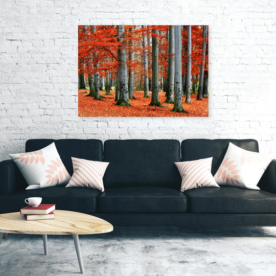 Canvas Print, Orange Landscapes 16746