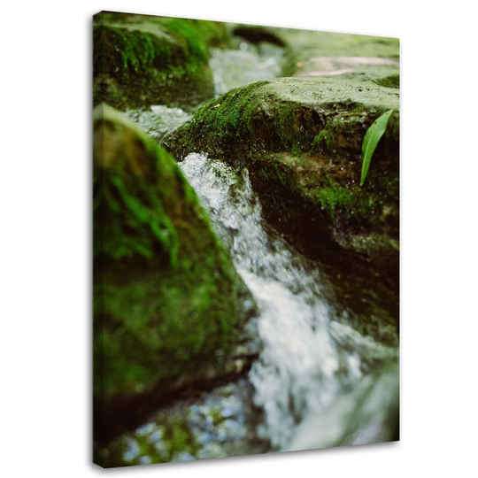 Canvas Print River Stones Nature