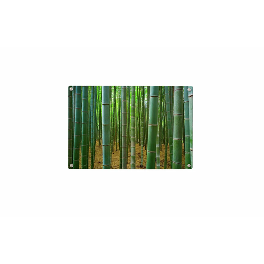 Bamboo Magnetic Wall Mounted Photo Memo Board
