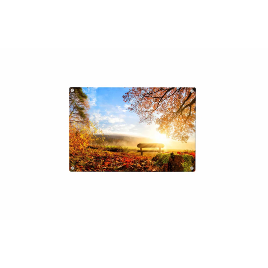 Trees Meadow Magnetic Wall Mounted Photo Memo Board