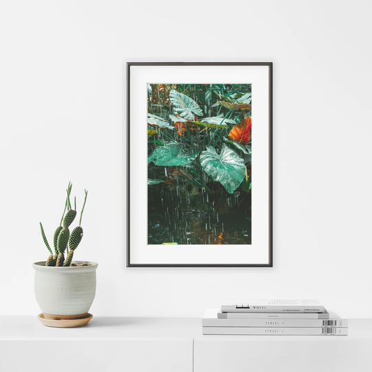 Inside the Green House N°9 - Picture Frame Photograph Print on Paper