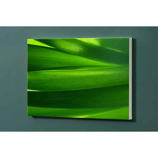 Leaves Magnetic Wall Mounted Photo Memo Board