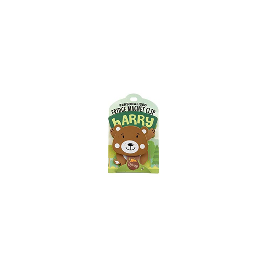 PERSONALISED TO THE NAME HARRY FRIDGE MAGNET CLIP BEAR DESIGN