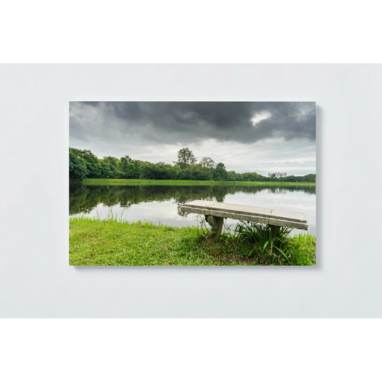 Trees Motif Magnetic Wall Mounted Cork Board