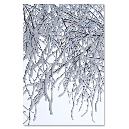 Canvas Print, White Landscapes 16366