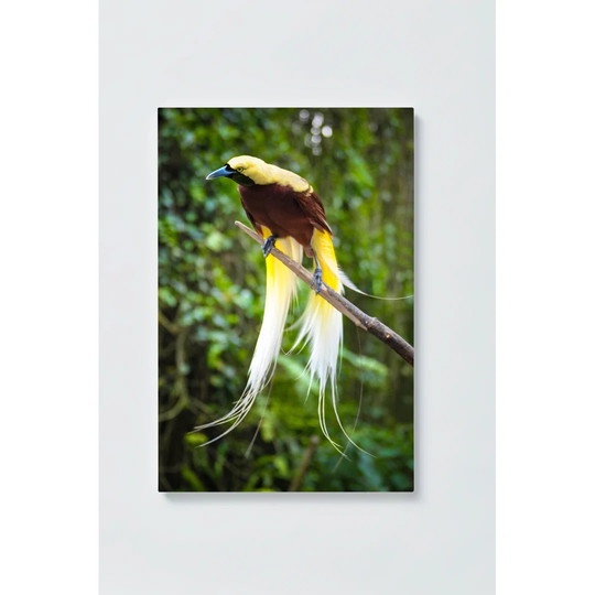 Bird Motif Magnetic Wall Mounted Cork Board
