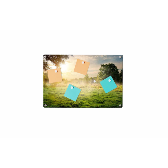 Meadow Morning Dew Magnetic Wall Mounted Photo Memo Board