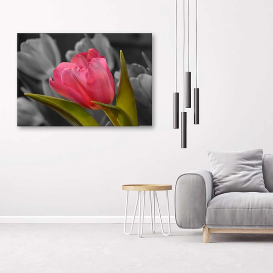 Canvas Print Red Tulip Flowers Nature