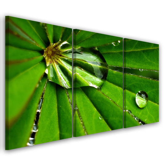 Canvas Print Leafy Rosy Drops